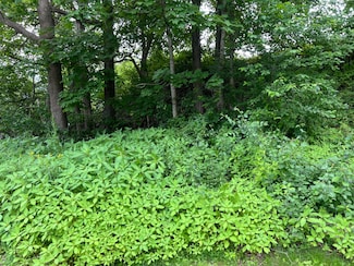 Lot 76A Eastern Rd, Warren, ME 04864
