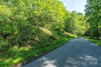 tbd Mckenzie Way N, Old Fort, NC 28762