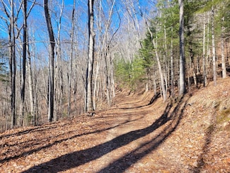 00 Forest Dr, Franklin, NC 28734