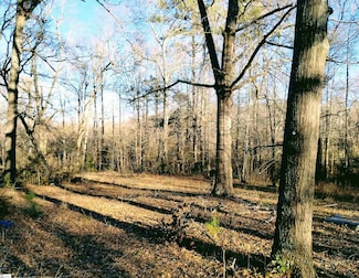 300 Mckinney Rd, Simpsonville, SC 29681