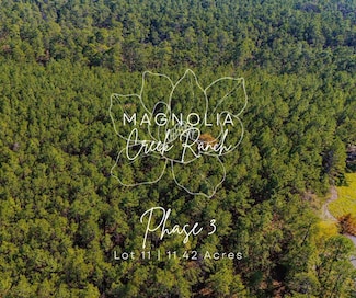 0311 Magnolia Ranch Rd, Onalaska, TX 77360