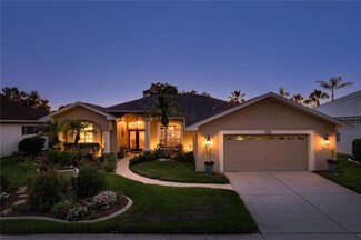 23218 Cypress Trail Dr, Lutz, FL 33549