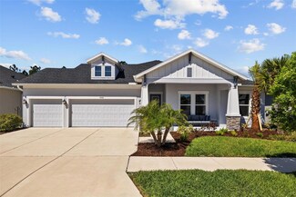 3966 Tour Trace, Land O Lakes, FL 34638