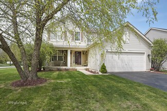 176 Boulder Ct, Gilberts, IL 60136
