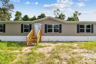 6409 Oran St, Tampa, FL 33610