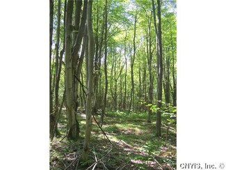00 Mott Cook, Pitcher, NY 13136