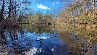 51+ acre Mountain Cove Way Unit 1-8, Cherry Log, GA 30522
