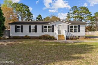 809 Sago Bay Dr, Wilmington, NC 28412