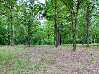 000 Leuckel Dr, Carter Township, MO 63965