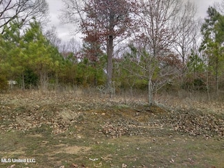 0 Lot 15 & 16 Strickland Farms Unit 4114931, Byhalia, MS 38611