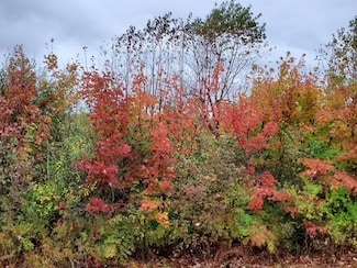 0 Farrand Rd, Millington, MI 48746