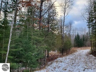 0 E Sage Lake Rd Unit 1929903, Lupton, MI 48635