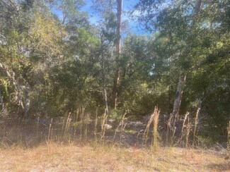 0 Bay Unit MFROM713606, Ocklawaha, FL 32179