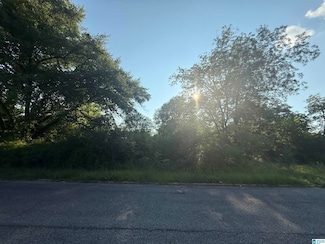 205 Western Ave Unit lot 1 of 2, Sylacauga, AL 35150