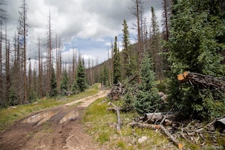 0 Tbd Forest Rd 503, Creede, CO 81130