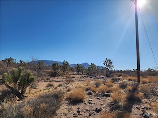26992 N Rose Rd, Meadview, AZ 86444