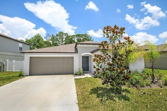 13419 Willow Bluestar Loop, Riverview, FL 33579