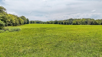2245 Big Ivy Rd, Savannah, TN 38372