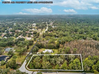 27975 Robin Roost Ln, Wesley Chapel, FL 33544