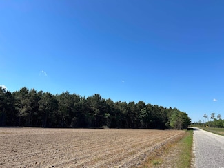 TBD Mclellan Rd, Hamer, SC 29547