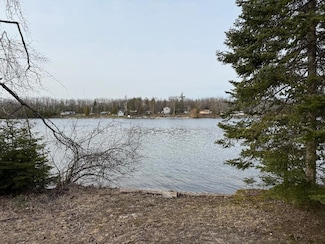 0 Haynes Ln Unit 201833553, Cheboygan, MI 49721