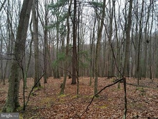 46 Honey Locust Ln, Great Cacapon, WV 25422