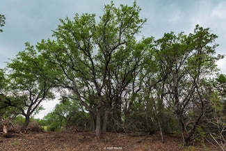 8219 Farm To Market 89, Tuscola, TX 79562