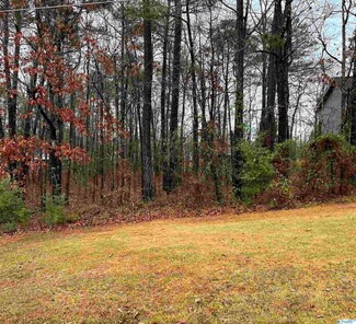 Lot 2 Blk 5 County Road 380, Centre, AL 35960