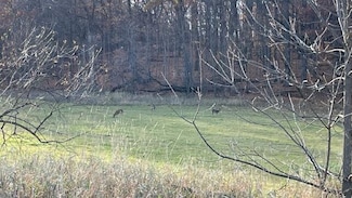 Lot 2 S Clark St, Mayville, WI 53050