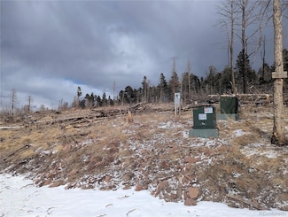 2283 Wohlstetter Loop, Fort Garland, CO 81133