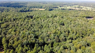 000 Arkansas 358, Paragould, AR 72450