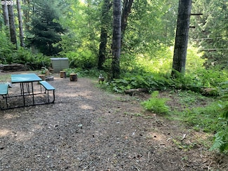 71424 Fishhawk Rd, Birkenfeld, OR 97016