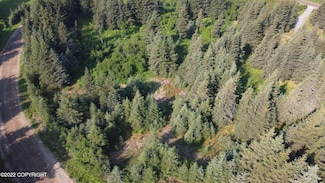 1170 Skagit Cir, Homer, AK 99603