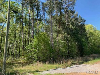 00 Birch Tree Rd, Hayden, AL 35079