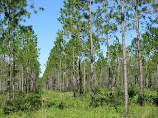 0 Hoover Rd, Palatka, FL 32177