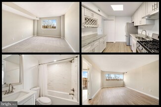 1836 Metzerott Rd Unit 911, Adelphi, MD 20783