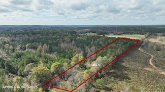 0 Spring Hill Rd, Nauvoo, AL 35578