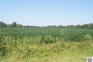 3362 Hudson Rd, Crutchfield, KY 42041