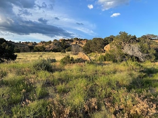 Lot 72 Colorado Land and Grazing, Gardner, CO 81040