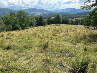 100 Miller Farm Ln, Davis, WV 26260