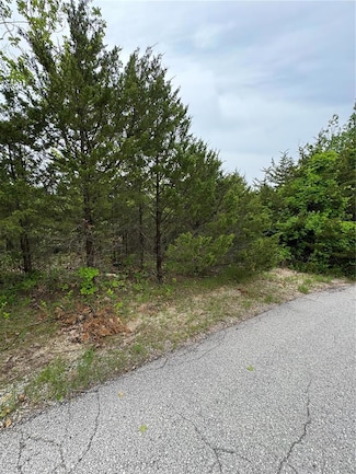 157 Cottonblossom Dr, Hillsboro, MO 63050