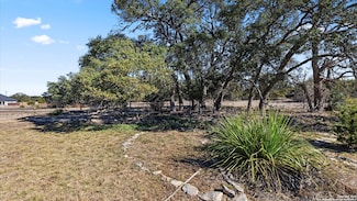 110 Antonio Perez, Blanco, TX 78606