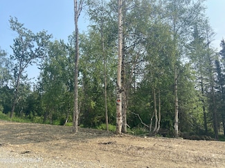 2650 W Longview Cir, Wasilla, AK 99654