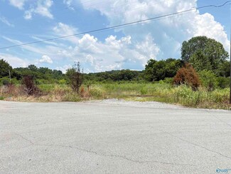 +/-3 ac Cox Ave, Stevenson, AL 35772