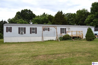 398 Guy Ct, Guston, KY 40142