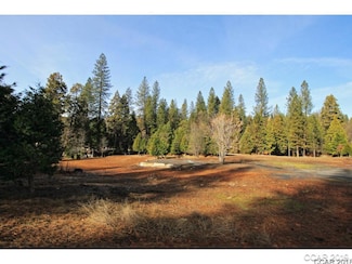 1100 Highway 4, Arnold, CA 95223