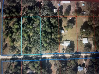 21851 SE 64th Ln, Morriston, FL 32668