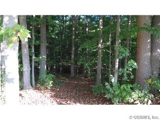 0 Groveland Hill Rd Unit R284229, Groveland, NY 14462