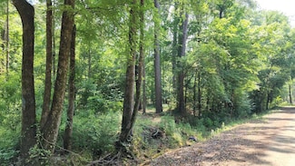 Lot 62 County Road 1090, Center, TX 75935