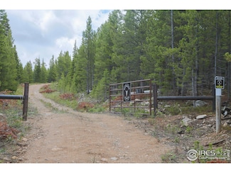 195 Forest Service Cir, Livermore, CO 80536